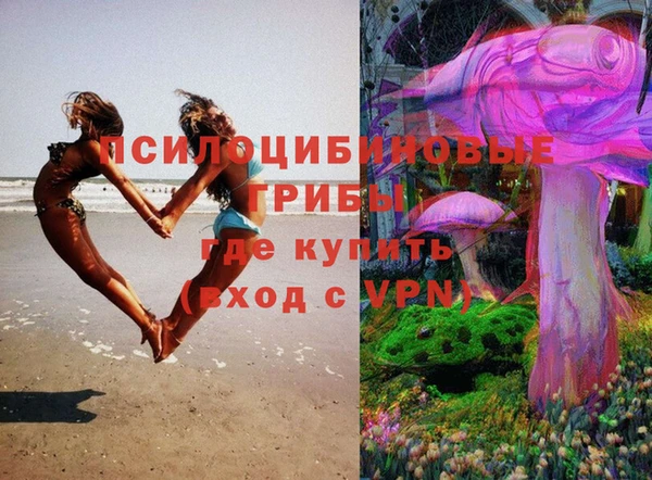 дмт Аркадак