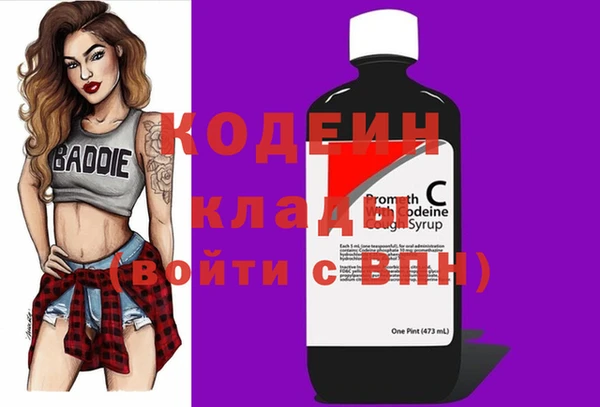 шишки Надым