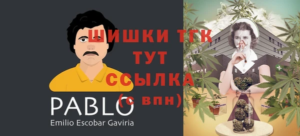 трава Армянск