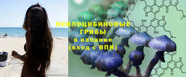 дмт Арсеньев